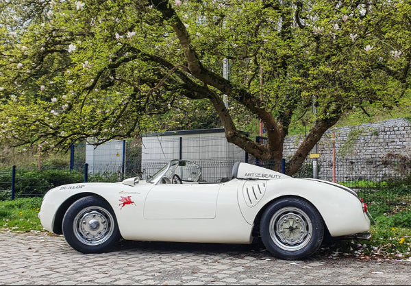 Amortisseurs Arrières combinés filetés réglables GAZ Gold Shocks Porsche 550 Replica Chamonix Beck