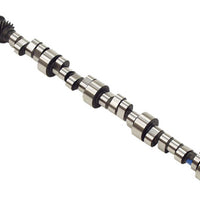 Arbre à cames Piper Cams MGB Culasse MSX