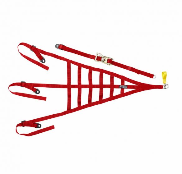 Filet de cage / arceau TRS Motorsport