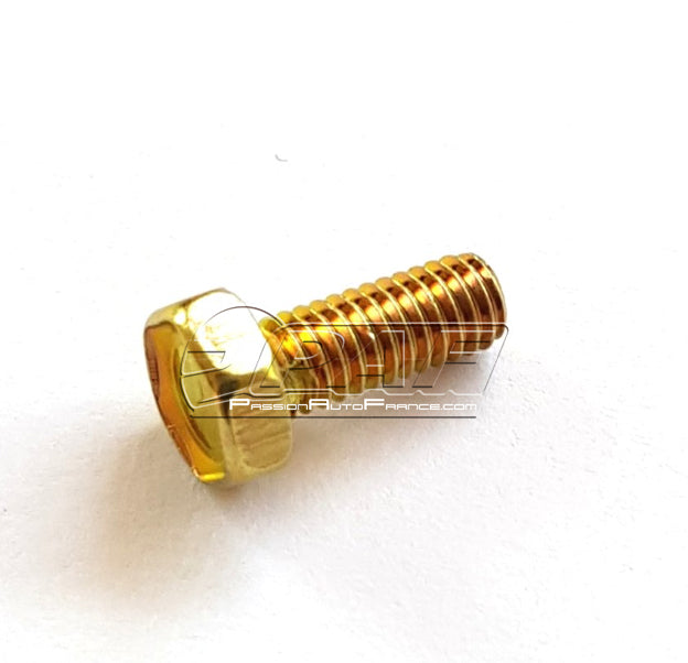 Vis retenue cable starter Weber DCOE